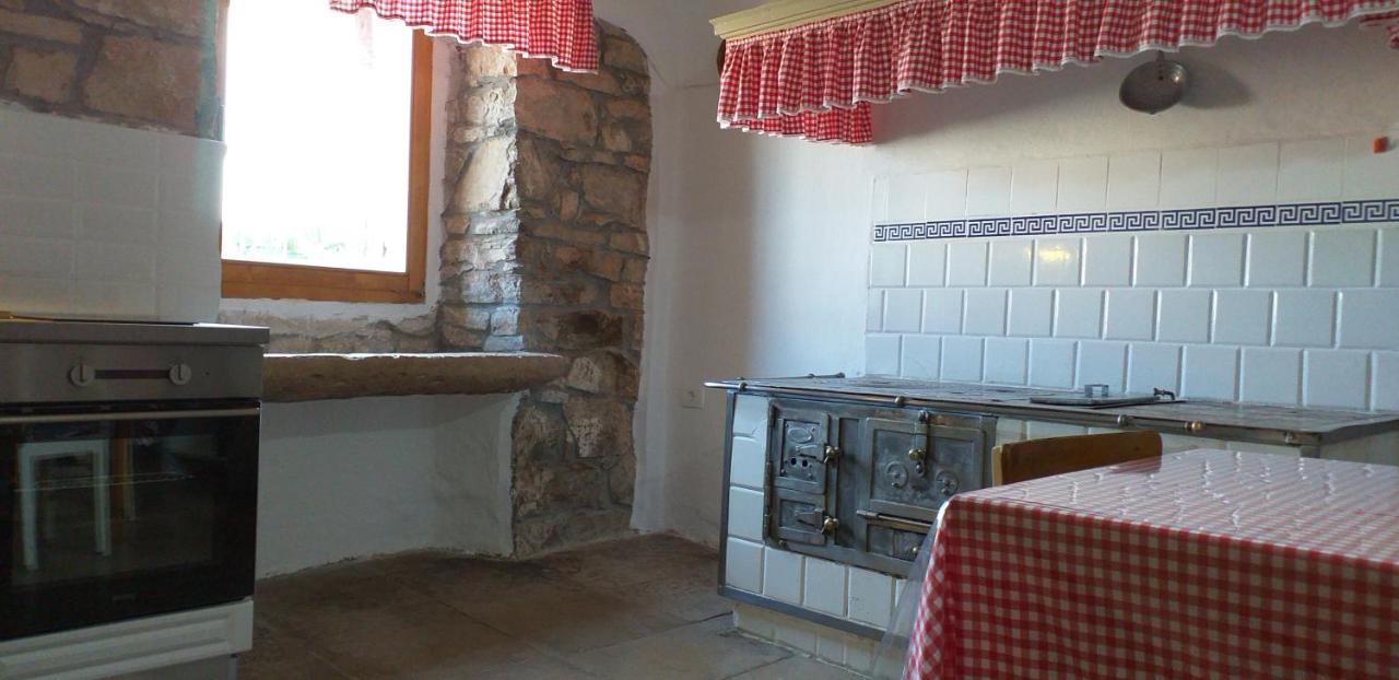 Rural Apartment Carolina Zrenj Exterior photo